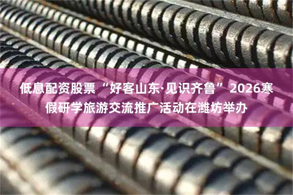 低息配资股票 “好客山东·见识齐鲁” 2026寒假研学旅游交流推广活动在潍坊举办