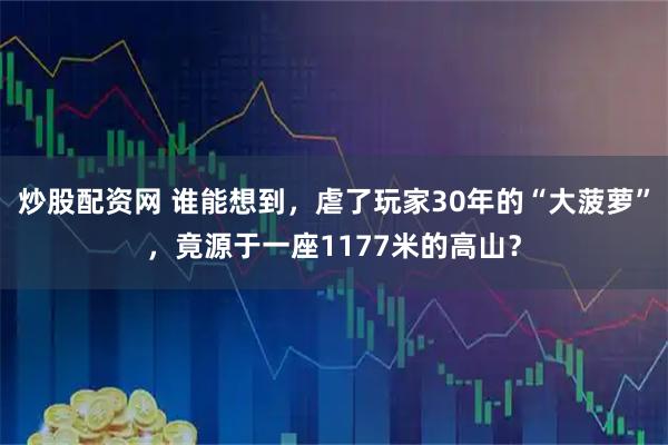 炒股配资网 谁能想到，虐了玩家30年的“大菠萝”，竟源于一座1177米的高山？